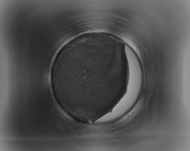X0000094180797200711161727