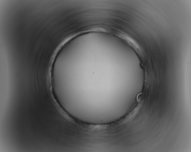 X0000094180808200711161727