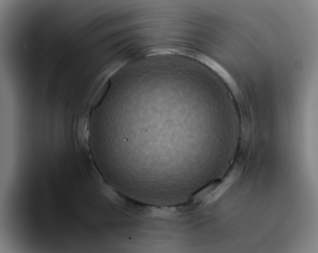 X0000094180809200711161727