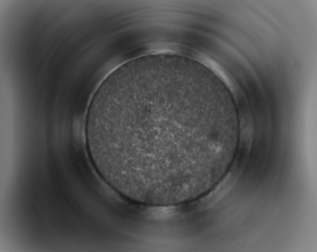 X0000094180810200711161727
