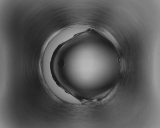 X0000094180812200711161727