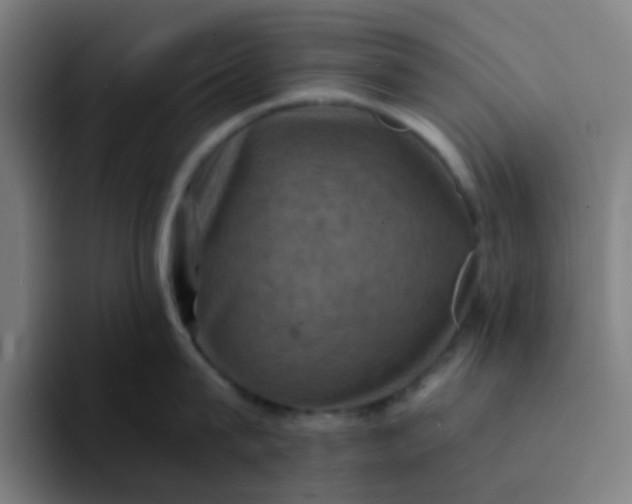 X0000094180815200711161727