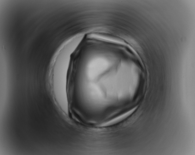 X0000094180816200711161727