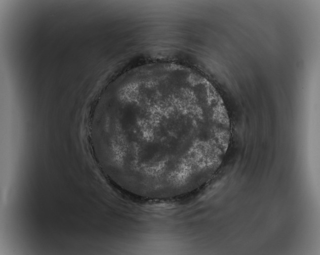 X0000094180817200711161726