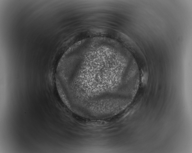 X0000094180819200711161726