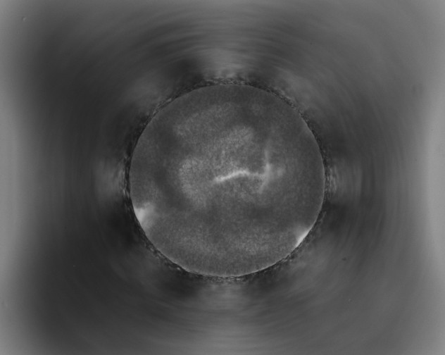 X0000094180820200711161726