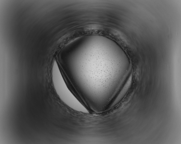 X0000094180821200711161726