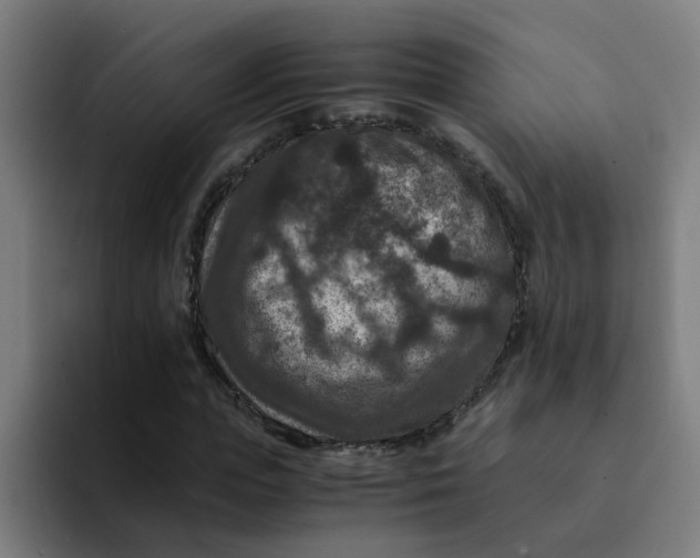 X0000094180823200711161726
