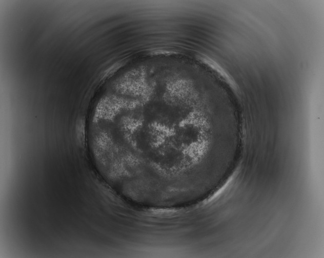 X0000094180825200711161726