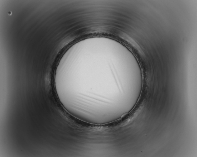 X0000094180826200711161726