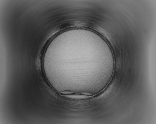 X0000094180827200711161726