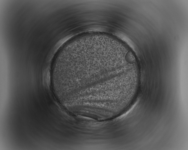 X0000094180829200711161726
