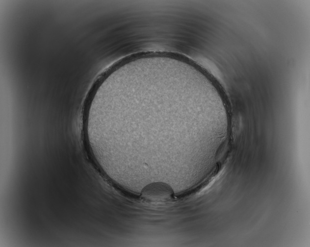 X0000094180831200711161726