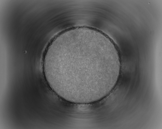 X0000094180832200711161726