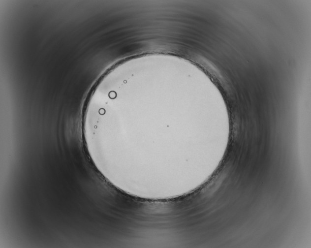 X0000094180836200711161726