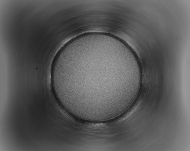 X0000094180837200711161726