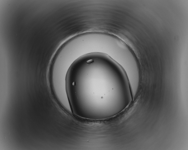 X0000094180838200711161726