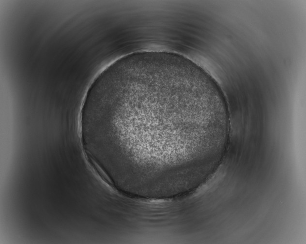 X0000094180839200711161726