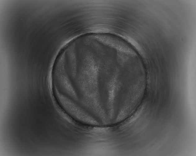 X0000094180840200711161726