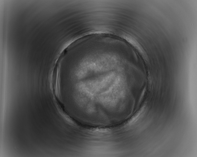 X0000094180842200711161726