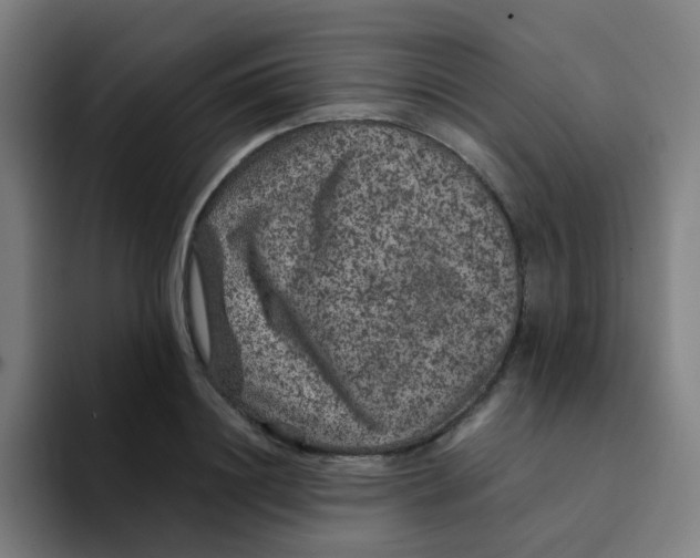 X0000094180844200711161726