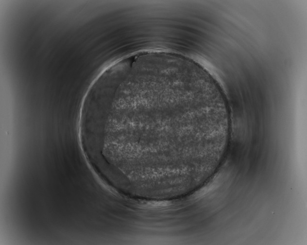 X0000094180845200711161726