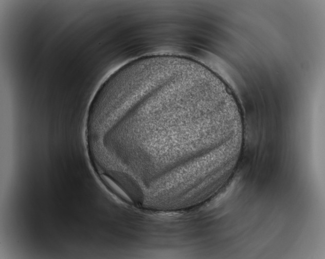 X0000094180847200711161726