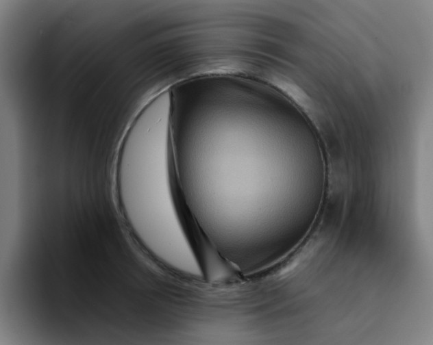X0000094180850200711161726