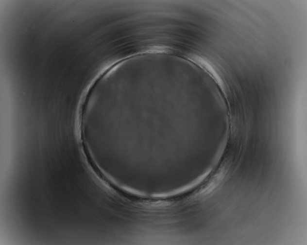 X0000094180851200711161726