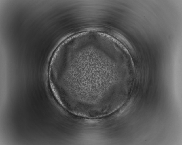 X0000094180852200711161726