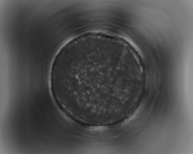 X0000094180853200711161726