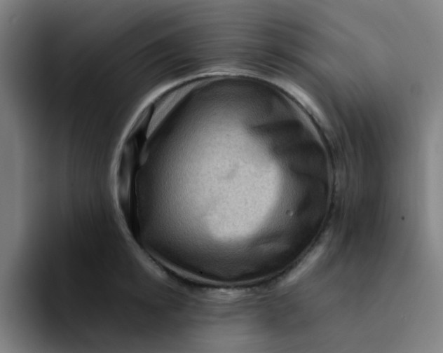 X0000094180854200711161726