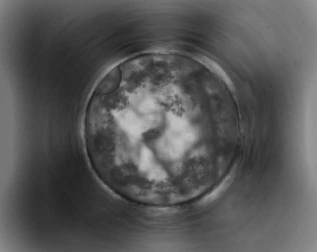 X0000094180855200711161726