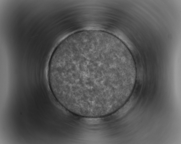 X0000094180856200711161726