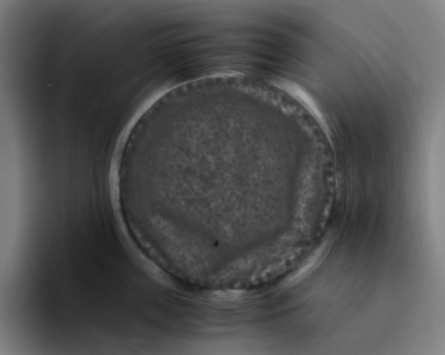 X0000094180859200711161726