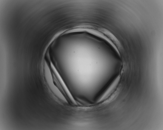 X0000094180860200711161726