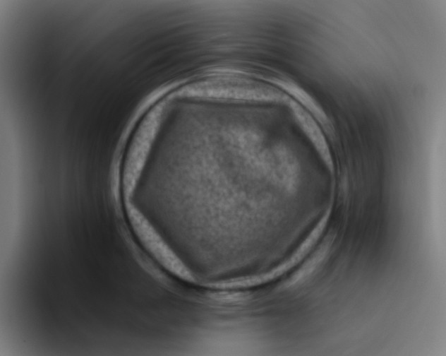 X0000094180862200711161726