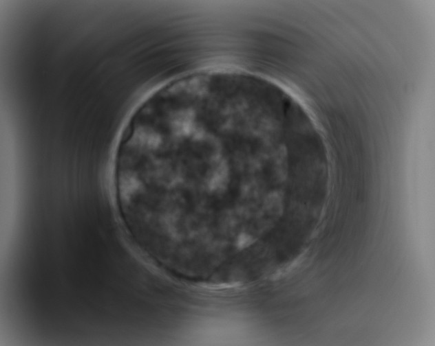 X0000094180864200711161726