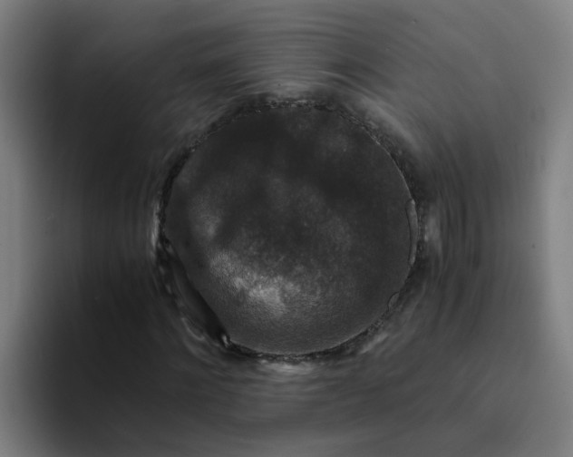 X0000094180868200711161726