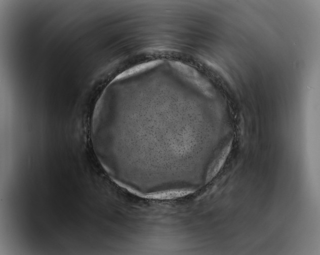 X0000094180870200711161726