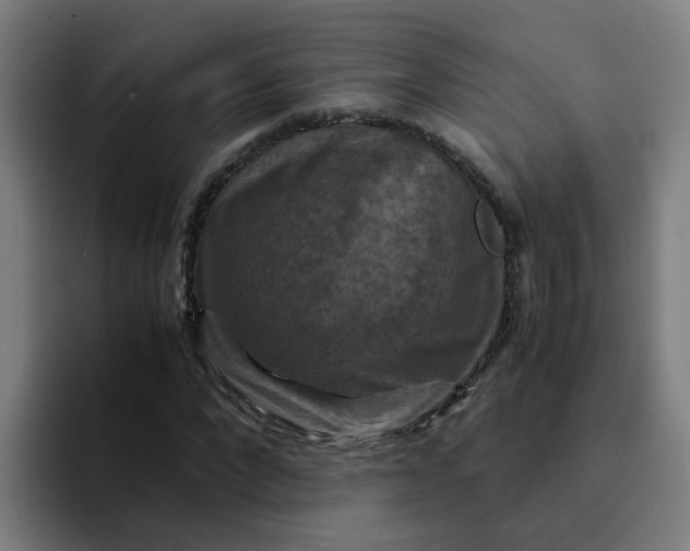 X0000094180872200711161726