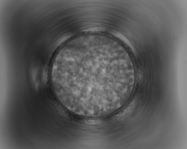 X0000094180874200711161726