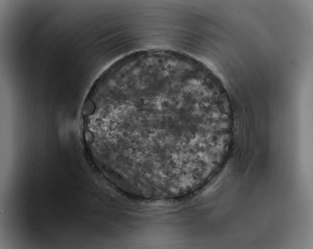 X0000094180879200711161726