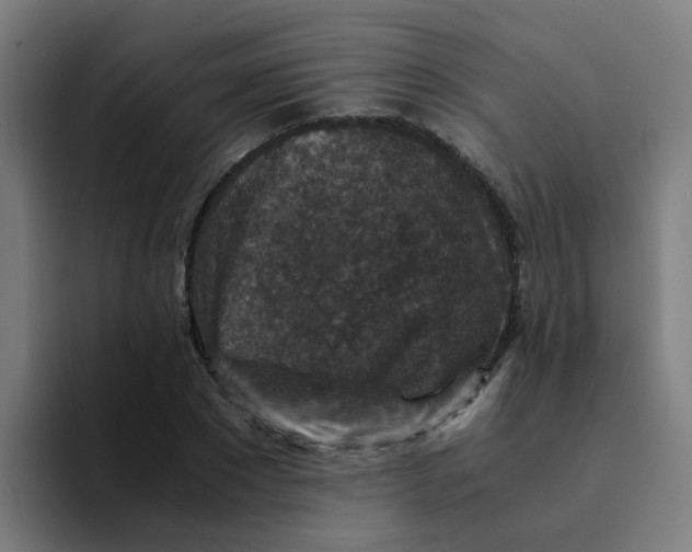 X0000094180881200711161726