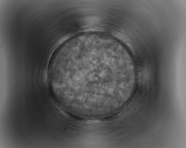 X0000094180882200711161726