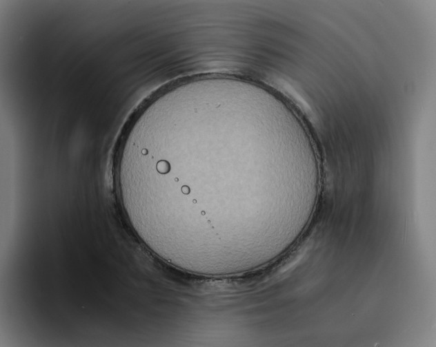 X0000094180883200711161726