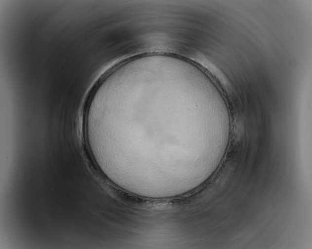 X0000094180886200711161726