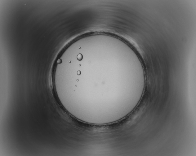 X0000094180887200711161726