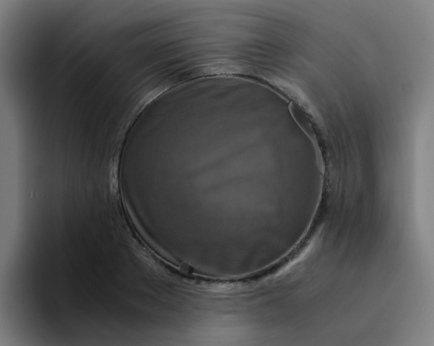 X0000094180889200711161726