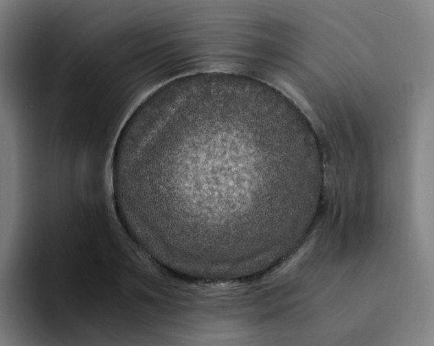 X0000094180891200711161726